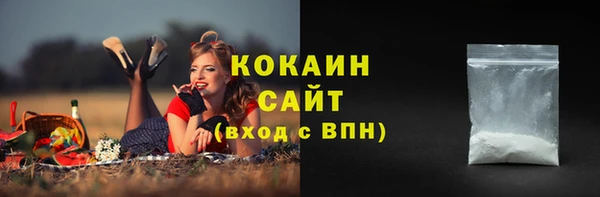 дмт Зеленодольск
