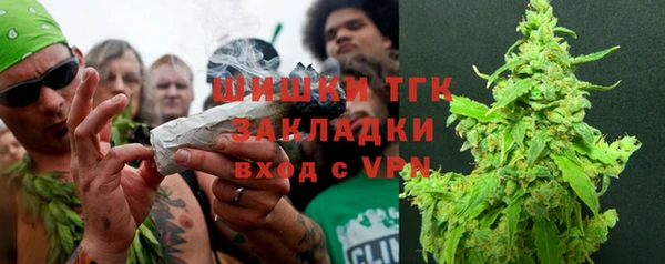 дмт Зеленодольск