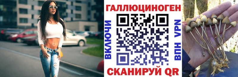 Галлюциногенные грибы мицелий  Купить закладки  Тбилисская 